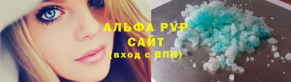 прущие грибы Армянск