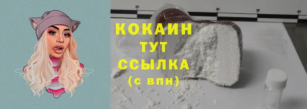 прущие грибы Армянск
