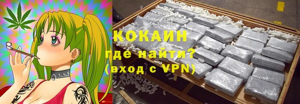 прущие грибы Армянск