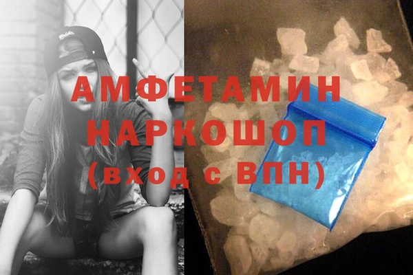 прущие грибы Армянск