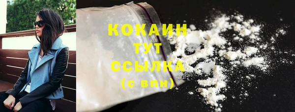 прущие грибы Армянск